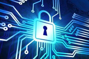 强化企业信息安全 聚焦网络安全与网络信息安全软件开发